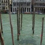 Venezia
