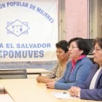 Fepomuves 01