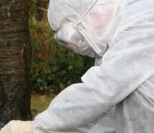 Pandemien oppleves mer belastende for innvandrere