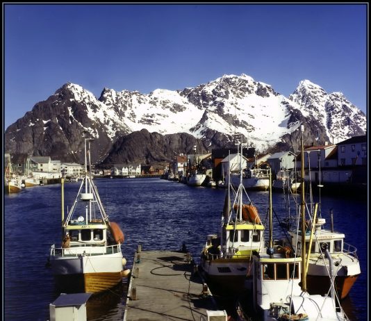 Lofoten ønsker flere innvandrere