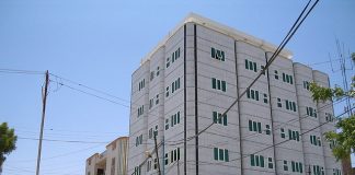 Privat utviklingshjelp