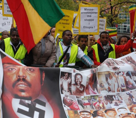 Eksil-etiopere raste mot Zenawi