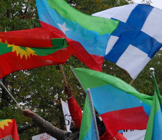 Tyskland innfører fengselsstraff for å brenne andre lands flagg
