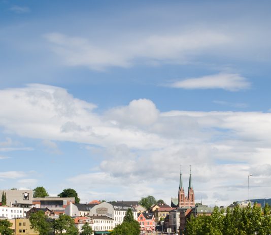 Skien får innvandrerråd