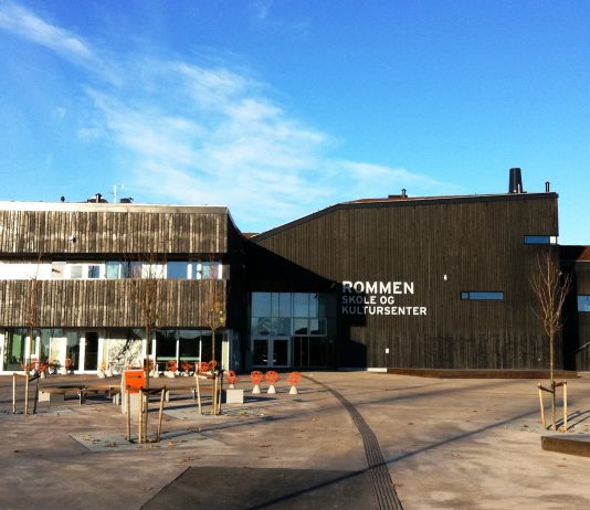 Barn med psykiske lidelser mangler tilbud