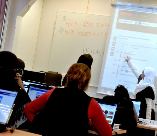 Svartmaler innvandrerkvinner