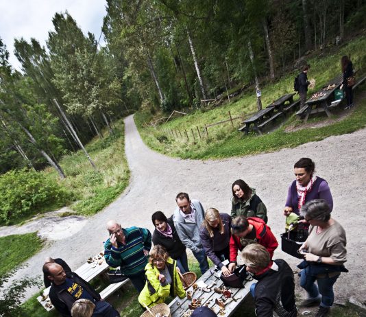 Da innvandringspolitikken fikk sitt barometer