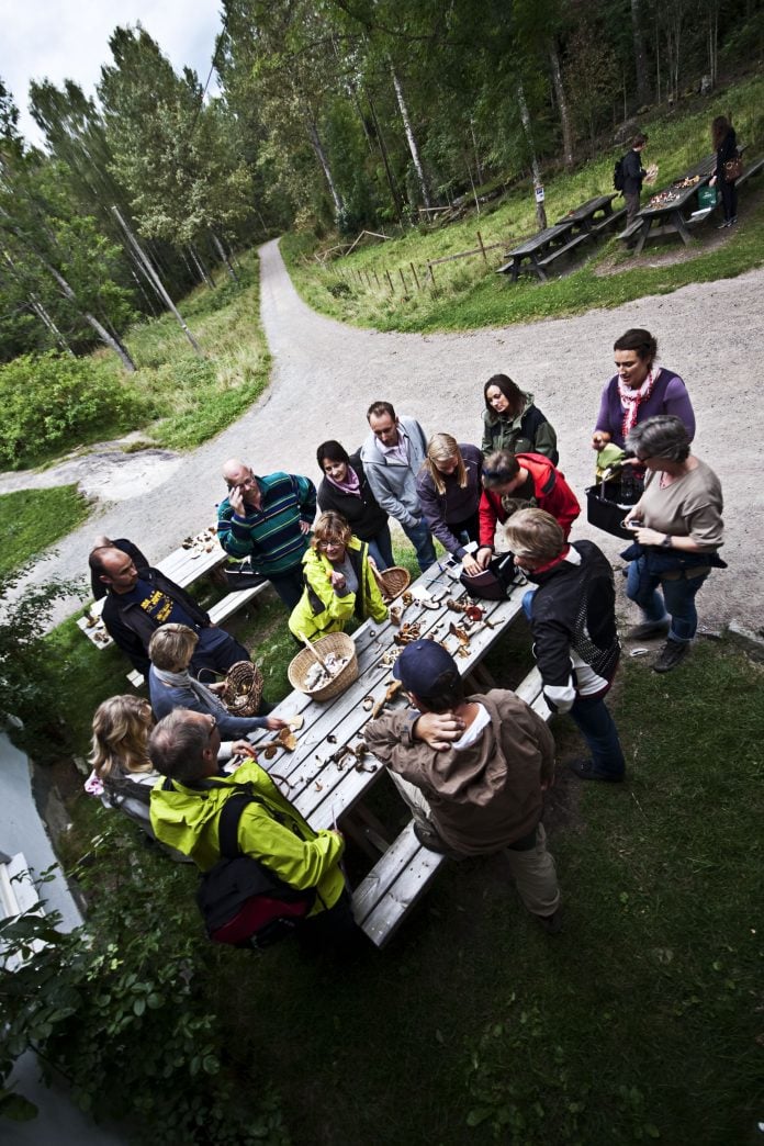 20073