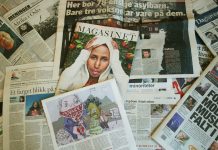 Nesten lik nordmenn