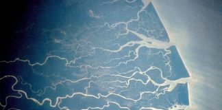 Statoil-milliarder frigitt i Nigeria