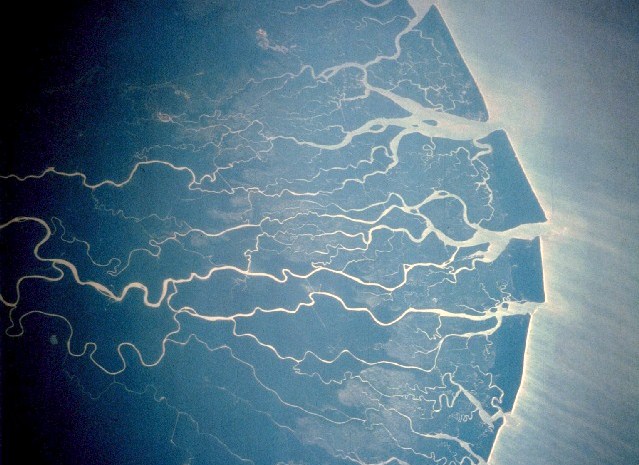 21980