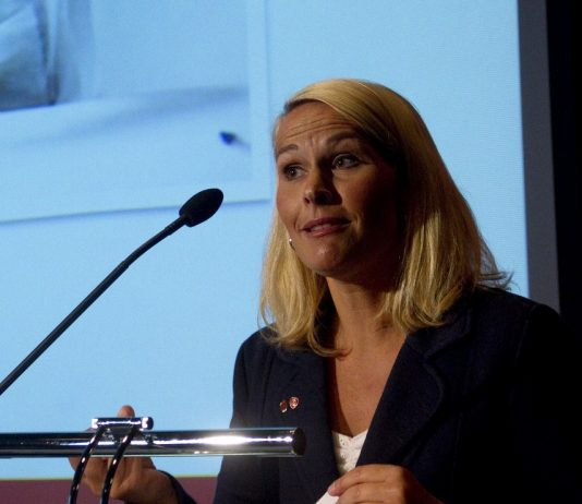Ber regjeringen om hjelp i rom-sak