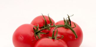 Til Nord-Korea med jærske tomatråd