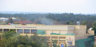 Britisk terrormistenkt arrestert i Kenya