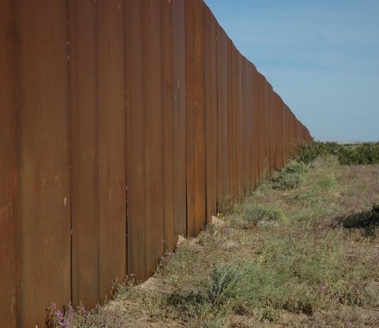 Stadig flere enslige mindreårige ankommer USA