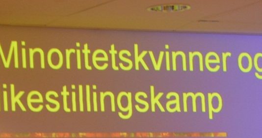 Ressurssterke innvandrerkvinner