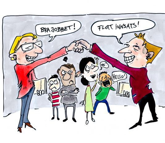 Mangelfull evaluering av IMDi