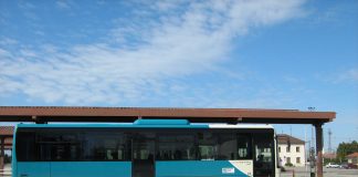 Trondheim vurderer kortsiktig, gratis transport til alle asylsøkere