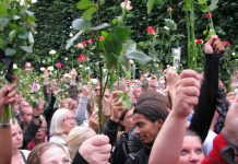 Gode tendenser i ny plan mot radikalisering