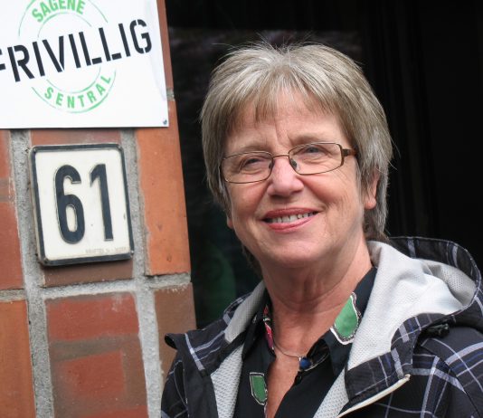 Norsklærere jobber gratis