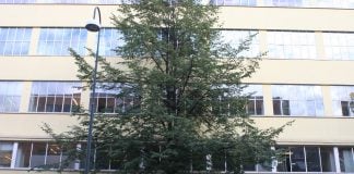 Nedgang i antall tvangsreturer på nesten 90 prosent hittil i år