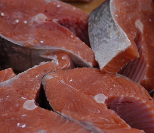 Hvorfor skal vi spise fisk fra en industri som ikke tåler dagslys?