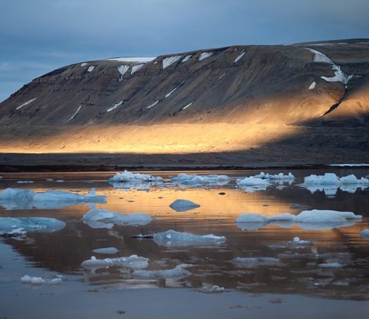Stadig flere utenlandske statsborgere på Svalbard