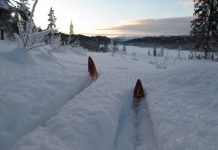 En nasjon for det 21. århundre