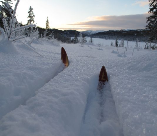 En nasjon for det 21. århundre