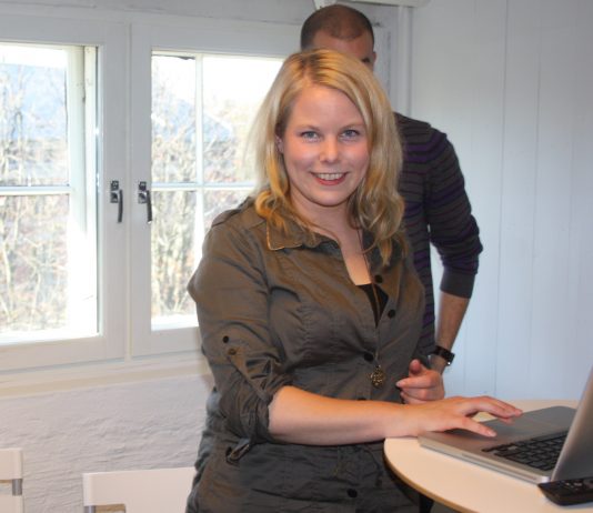 SV foreslår å begrense arbeidsinnvandring fra EU