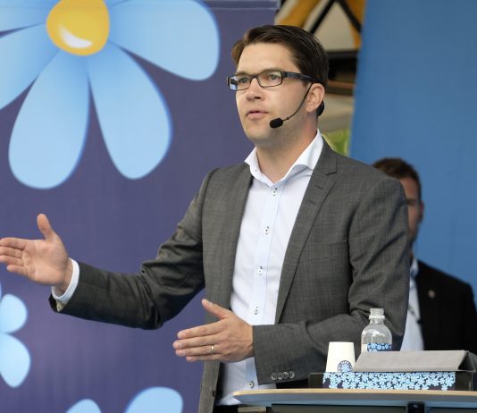 Måling: Annenhver svenske mener SD er et rasistisk parti