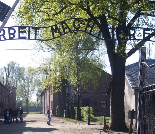Tysk milliardstøtte til Auschwitz