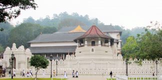 Rekordmange turister til Sri Lanka