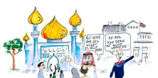 Har Storhaug «et poeng»?