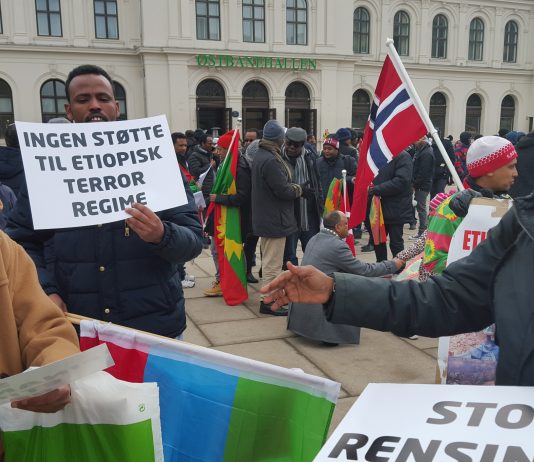 Protesterte mot drap på sivile og norsk passivitet
