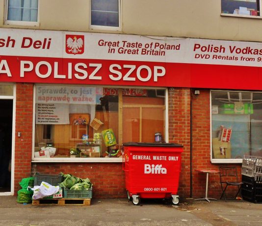100 kommuner har fått importsmitte fra Polen