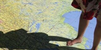 Innflyttingen til Norge faller