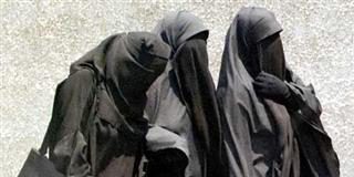 Norsk niqab-støtte