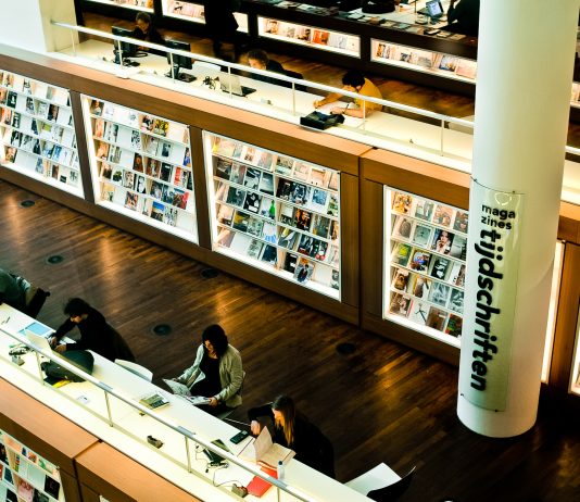 Store forskjeller i utdanning og arbeid mellom grupper