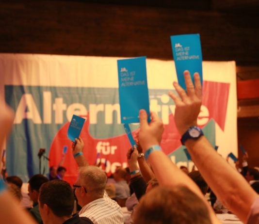 Tyske AfD sparker «fascistisk» talsmann