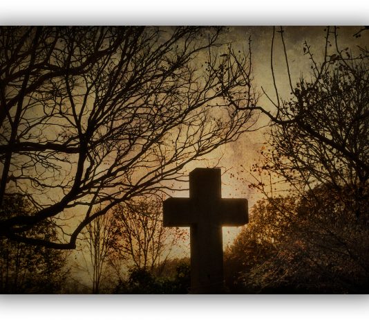 Vil lage informasjonsfilmer mot religionshets
