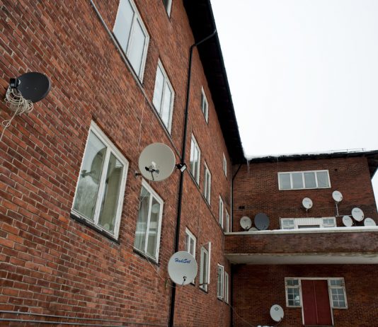 Reiser til hjemlandet på ferie
