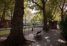 Etter 18 forventes de å klare mer selv – ny studie viser hva som kan gå galt