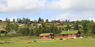 Hytte-Norge mer flerkulturelt