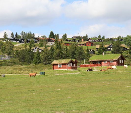Hytte-Norge mer flerkulturelt