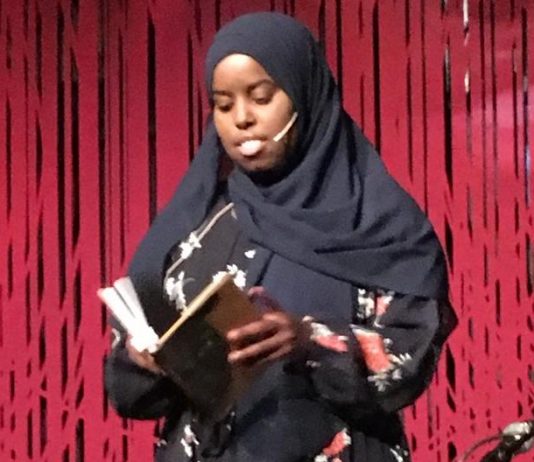 Zola-prisen til Sumaya Jirde Ali