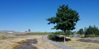 Innvandringskritiske menn er oftere klimafornektere