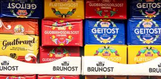 Ingen behandling for kronisk norsk