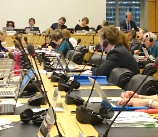 Forhandlerne på Gran blir bedt om å vurdere straff for menneskerettsbrudd