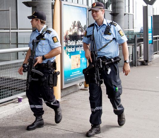 Politiet sendte 331 personer ut av landet i januar